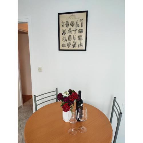 Apartment LENKA -Split ,great location