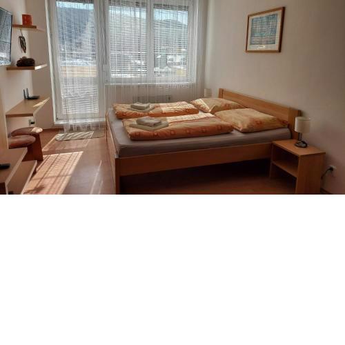 Apartment Magura