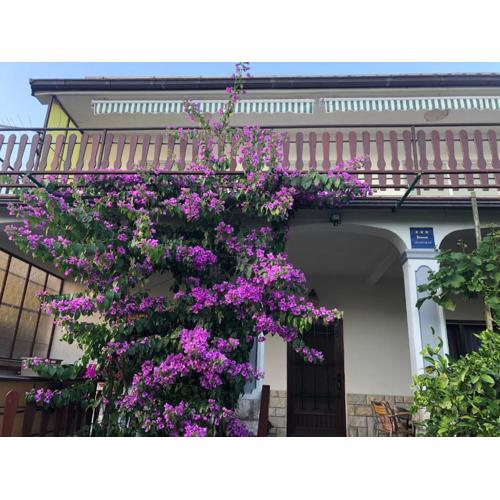 Apartment Marija Selce