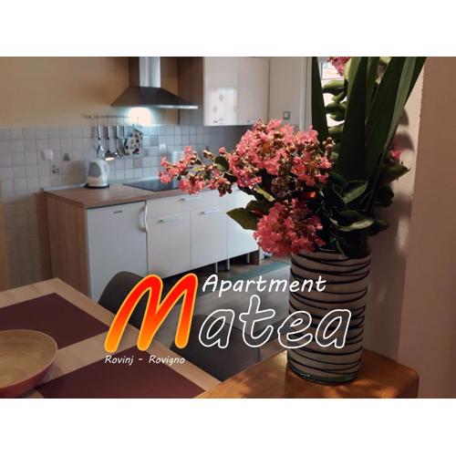 Apartment Matea