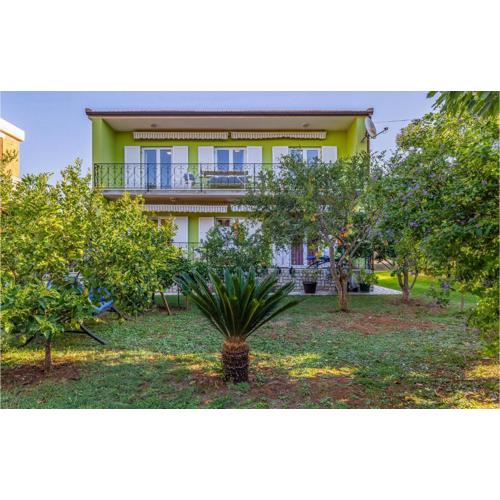 Apartment Munida