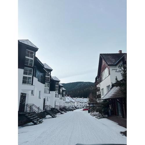 Apartment Na Skále CLOSE TO CITY CENTER & SKI LIFT