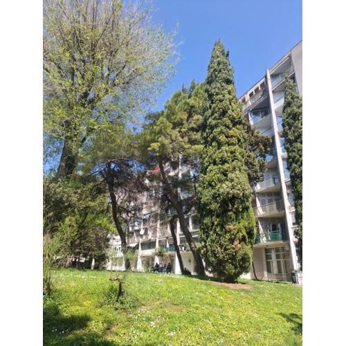 Apartment NADA in the center of Split