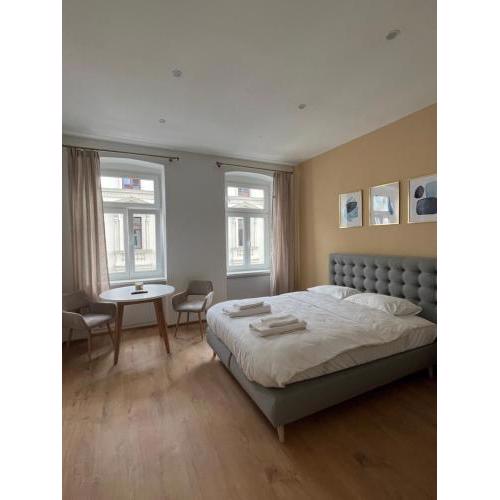 Apartment near Metro & Netflix