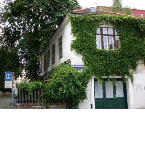 Apartment NiNi