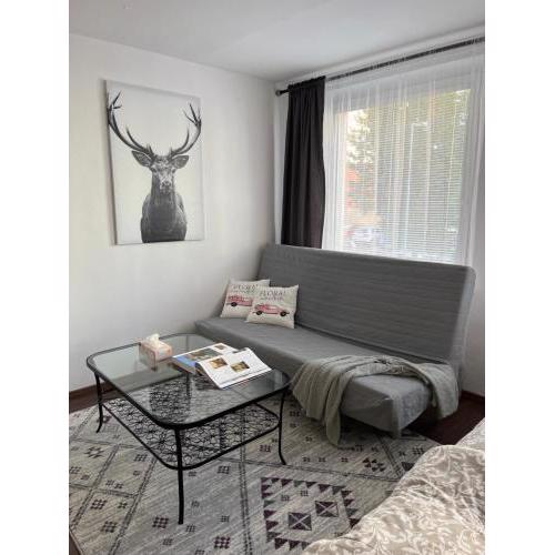Apartment No. 1