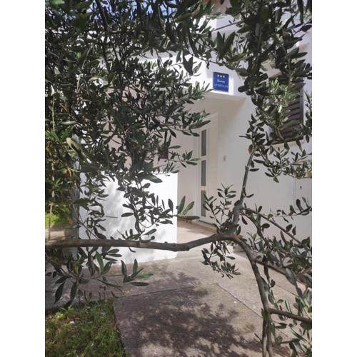 Apartment Olive II