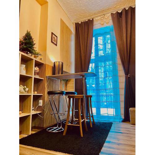Apartment on Pekarska street