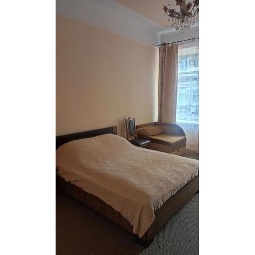 Apartment On Sheptytskyh 27