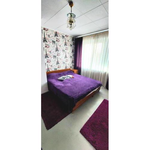 Apartment on Vadim Hetman street 38 - industrial bridge