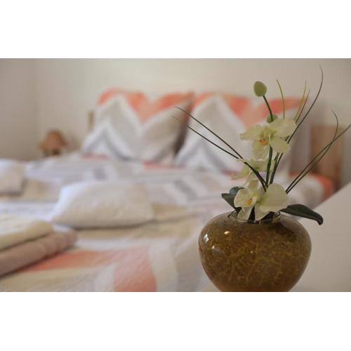 Apartment Palma