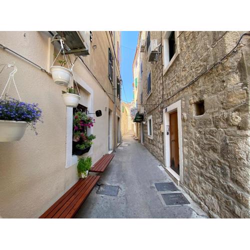 Apartment Papalina city center