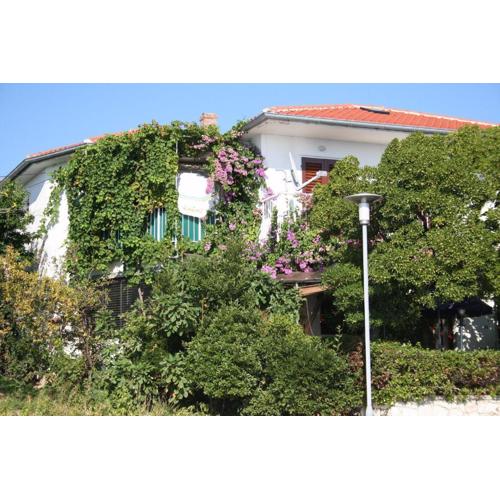 Apartment Petar