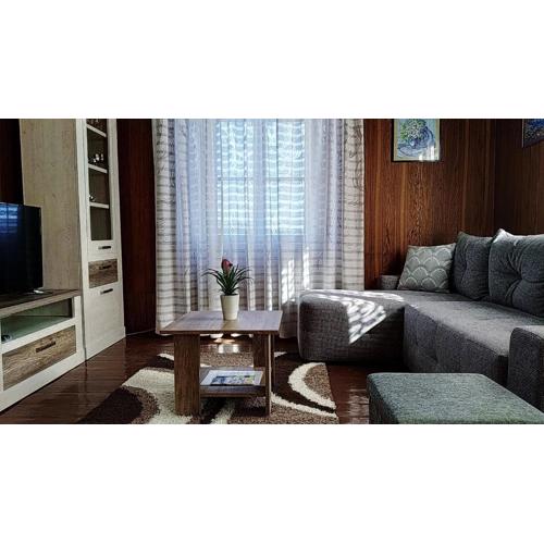Apartment Petar