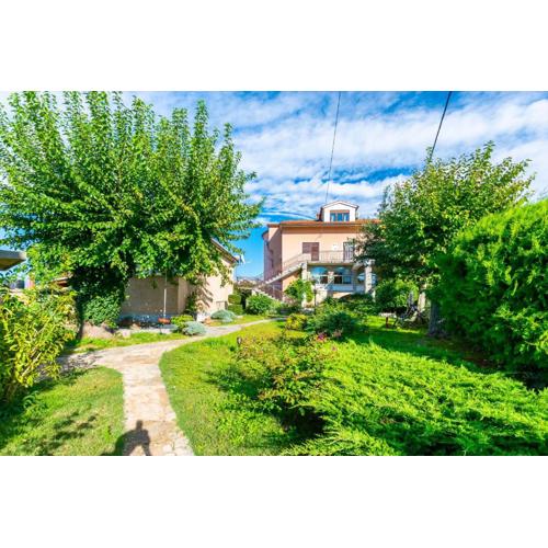 Apartment Petar