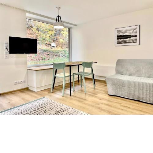 Apartment Port Jáchymov by Interhome
