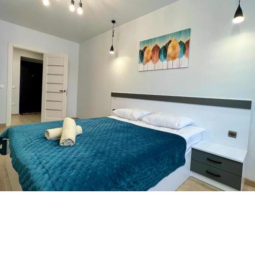 Apartment Premium in center