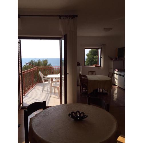 Apartment Primosten Dolac