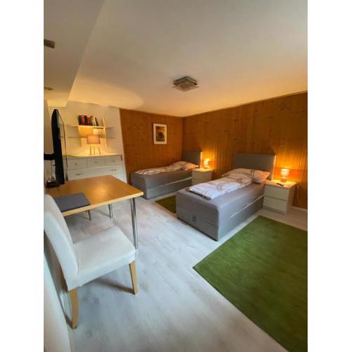 Apartment Reininghaus - Low budget
