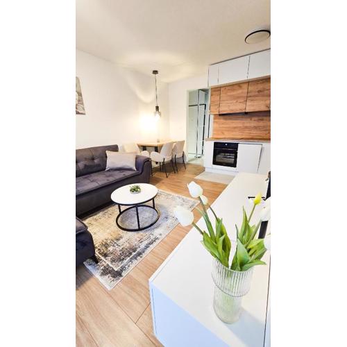 Apartment ReLakes