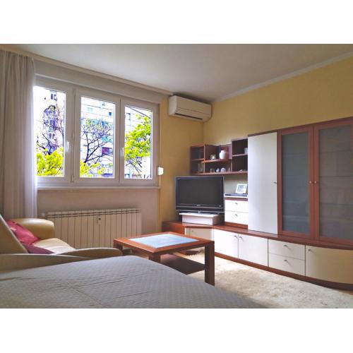 Apartment Roko