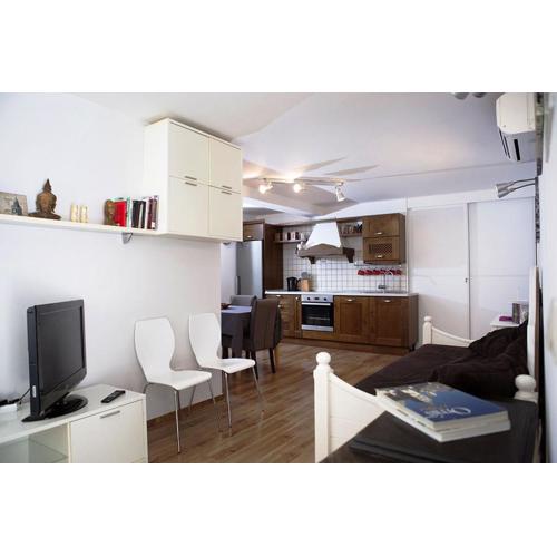 Apartment Roko