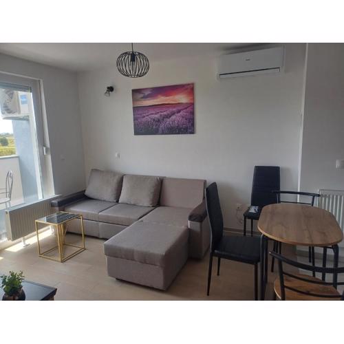 Apartment Rosa