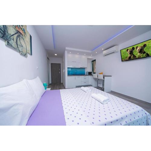 Apartment Roso