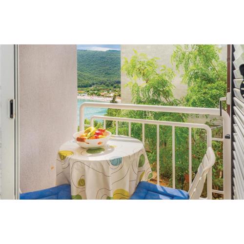 Apartment Rudarska Vi