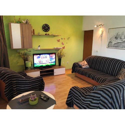 Apartment Ruža