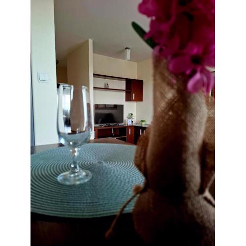 Apartment SANRiSe