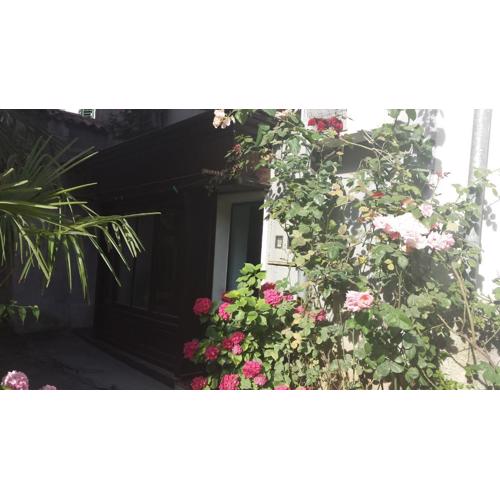 Apartment Saric