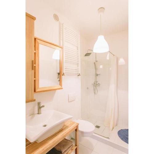 Apartment Savska