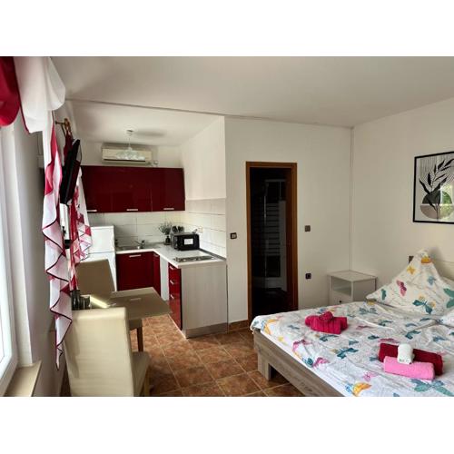 Apartment Schwarz in Petrčane II