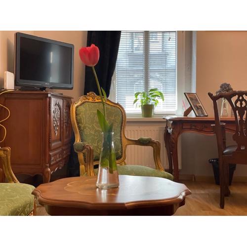 APARTMENT SILESIAN STADIUM and PARK
