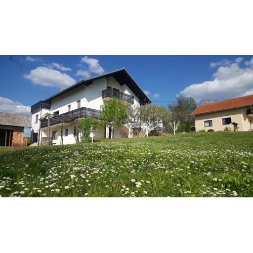 Apartment Silvia