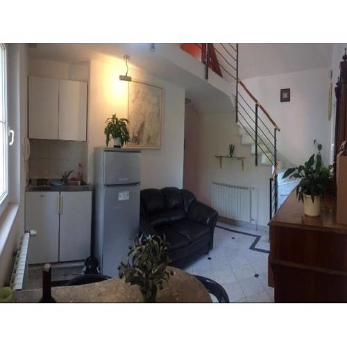 Apartment Simba - Studio Apartment ST