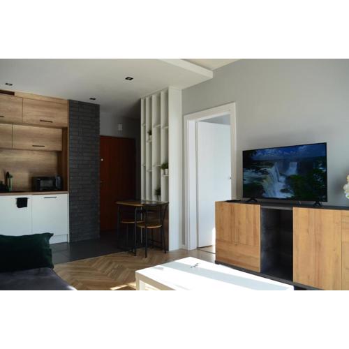 Apartment Sosnowiec City - FREE PARKING - easy check-in