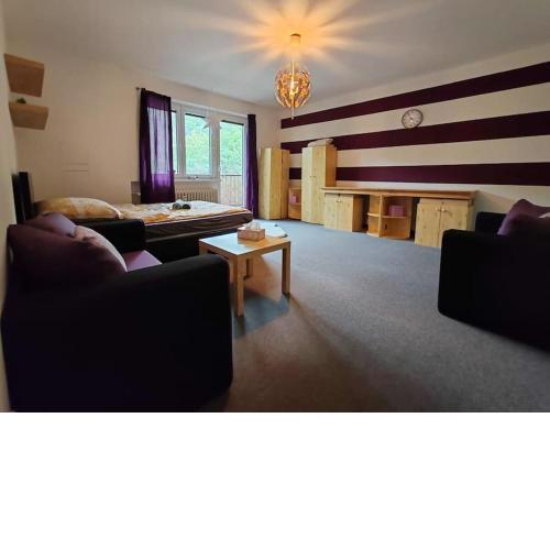 Apartment STAR Brno with terrace 4b