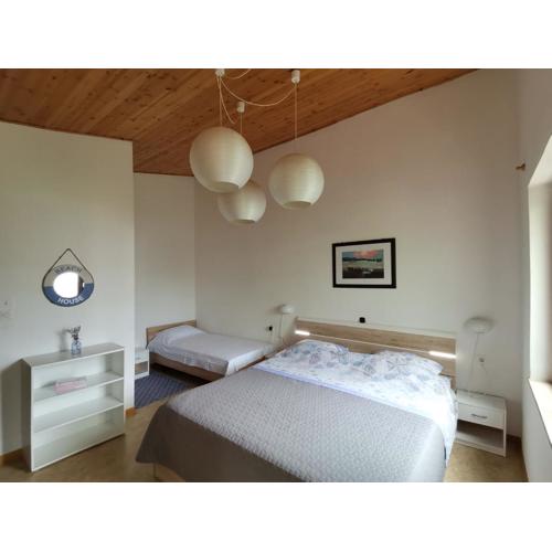 Apartment Studio Zvonka