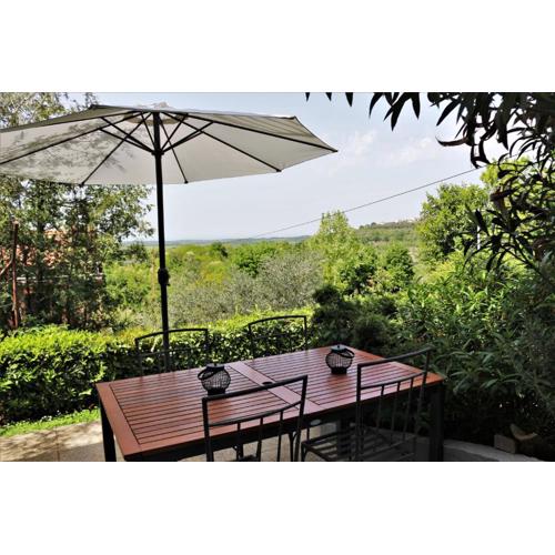 Apartment Tina Istra