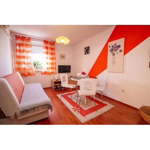 Apartment Un Chat