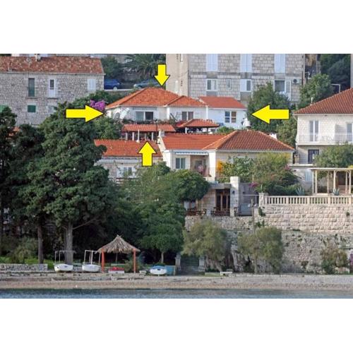 Apartment Vedro
