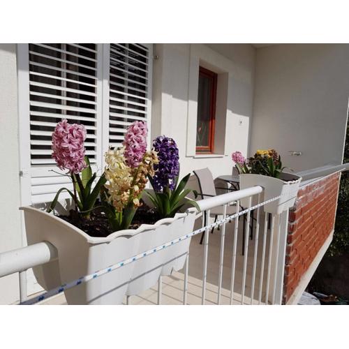 Apartment Vice mali