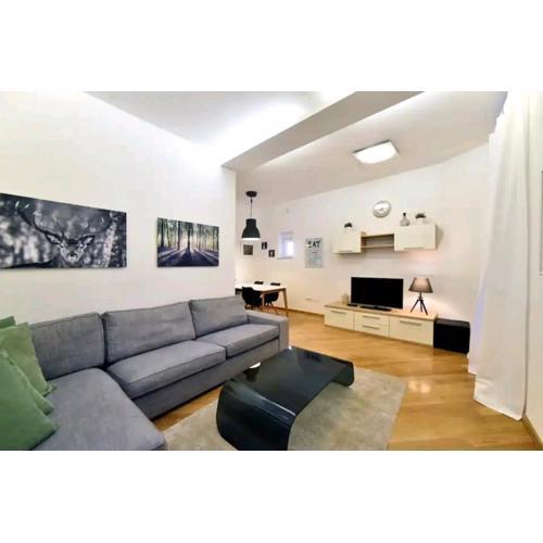 Apartment Viktor