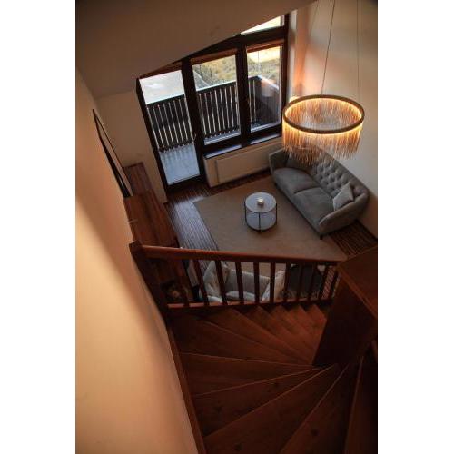 Apartment Vila Aston