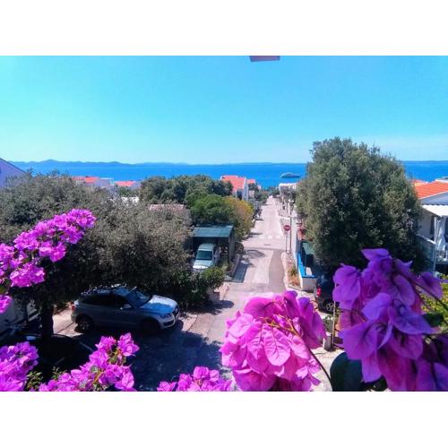 Apartment Vila Nina