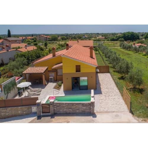 Apartment ViLo with heated pool in Istria