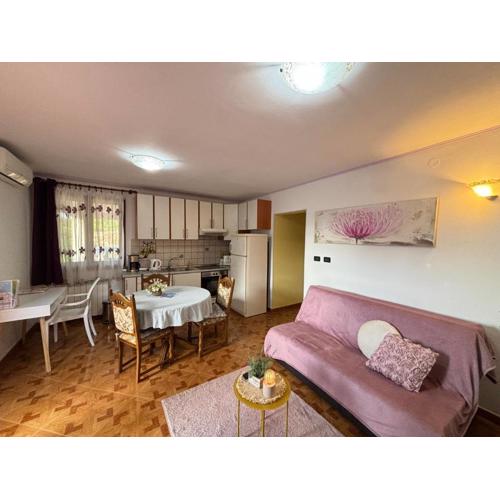 Apartment Viola