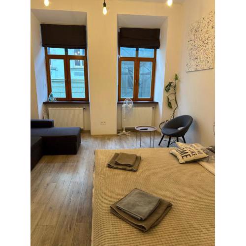 Apartment VIP Virmenska Street